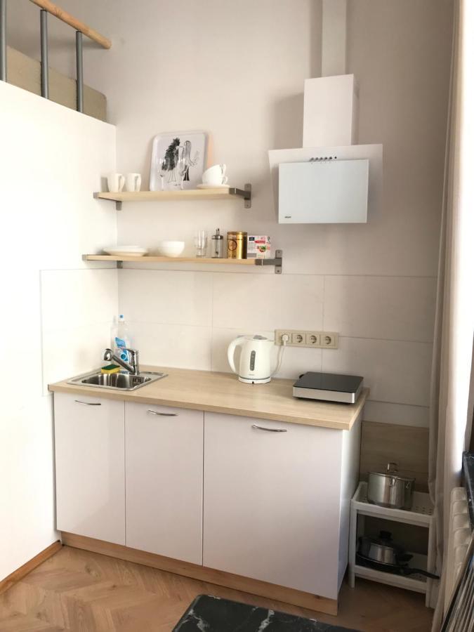 Centro Apartment Near Gedimas Avenue 维尔纽斯 外观 照片